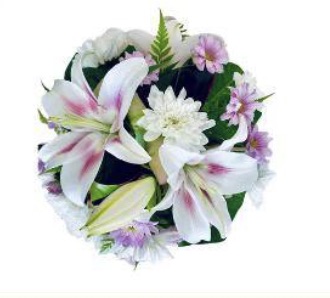 coussin taille small