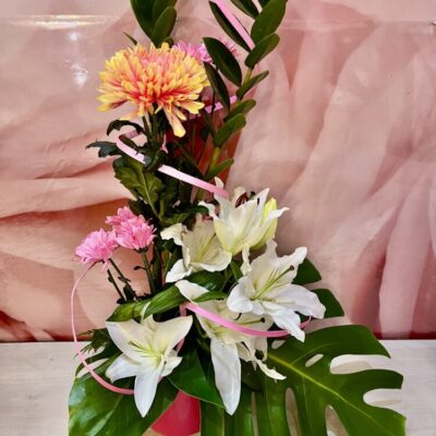 Lumiére des pétales